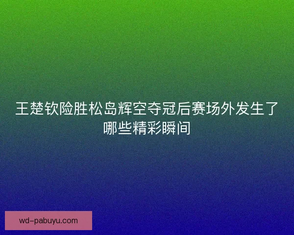 王楚钦险胜松岛辉空夺冠后赛场外发生了哪些精彩瞬间
