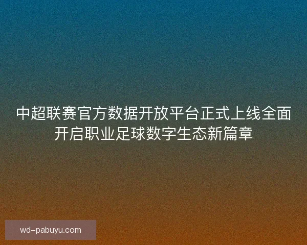 中超联赛官方数据开放平台正式上线全面开启职业足球数字生态新篇章 中超联赛官方数据开放平台正式上线全面开启职业足球数字生态新篇章