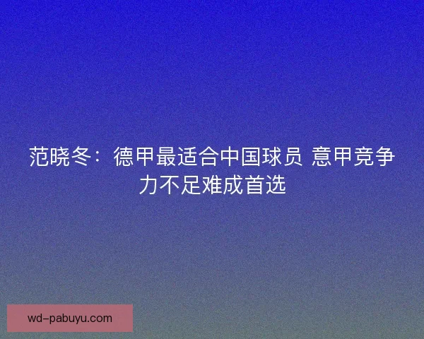 范晓冬：德甲最适合中国球员 意甲竞争力不足难成首选